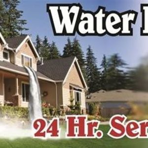 Meet your Posher, Arnold